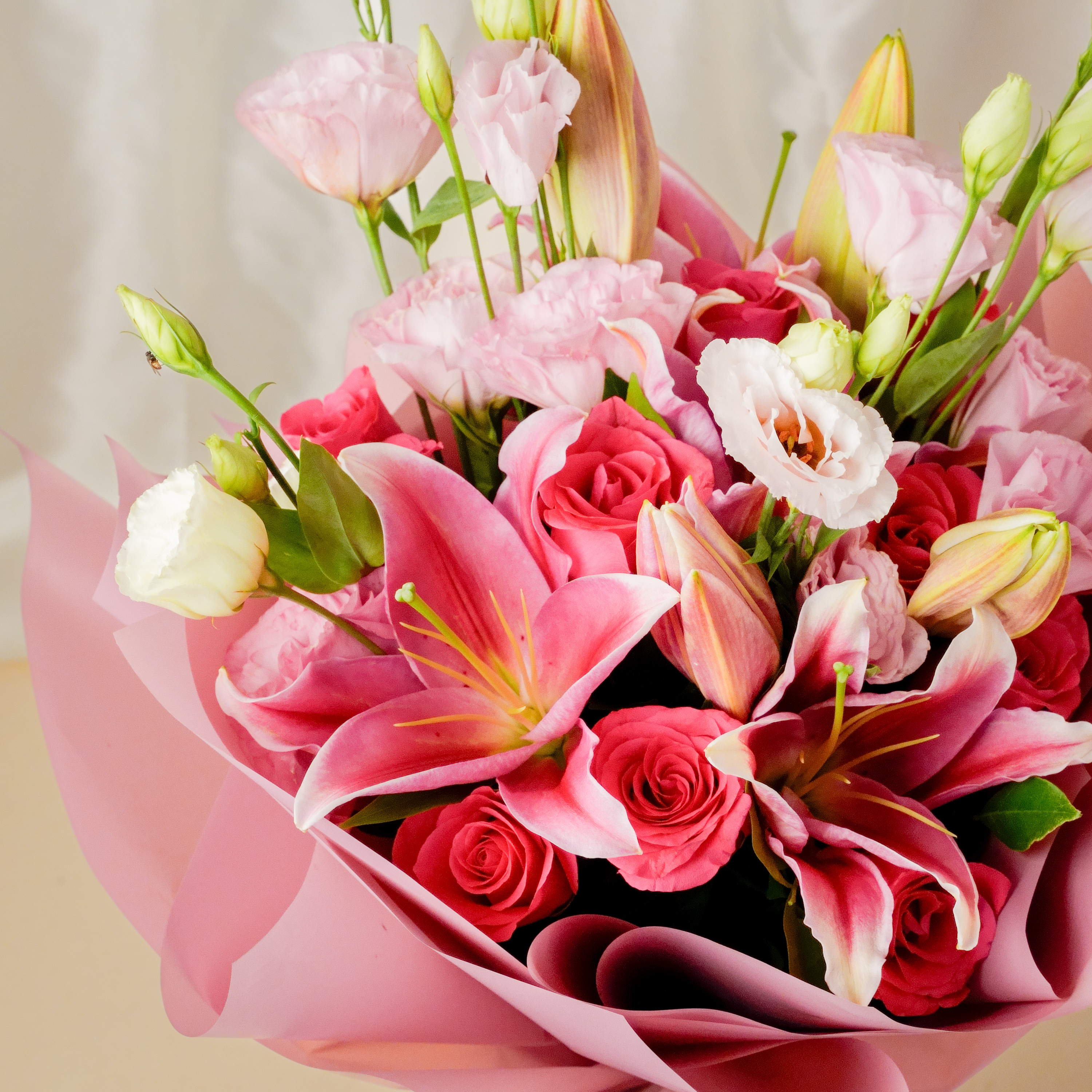 Pink Blossom Dry Fruit Harmony