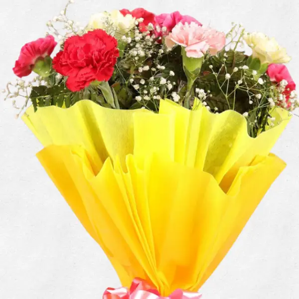 Cute Carnations Bunch