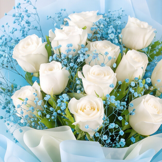 Purity  (12 White Roses)