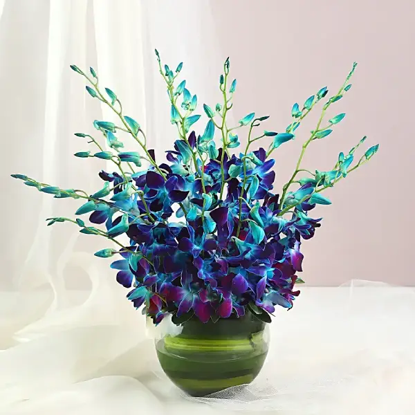Blue Orchids Vase Blue Orchids Vase
