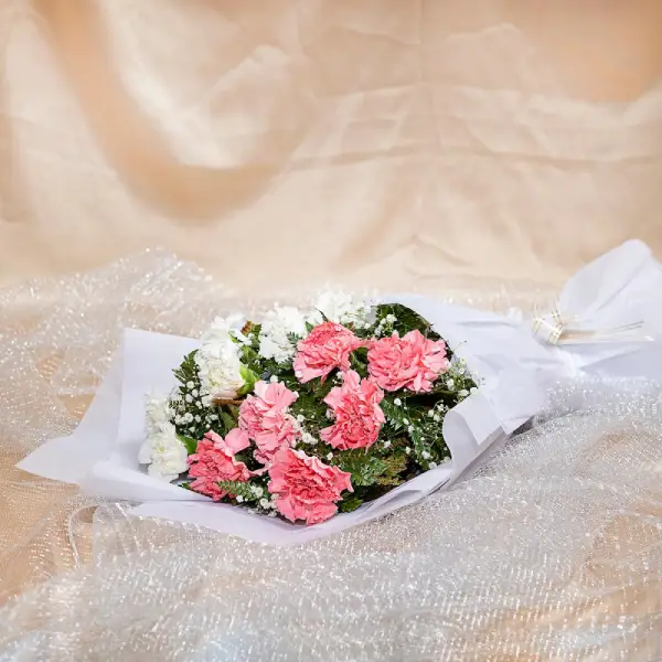 Lovely Pink Carnations