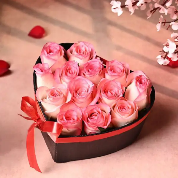 Pink Beauty in a Box