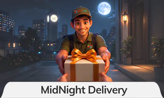 Midnight Delivery