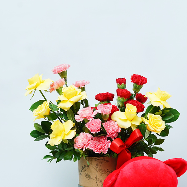 Carnation Cuddle Surprise