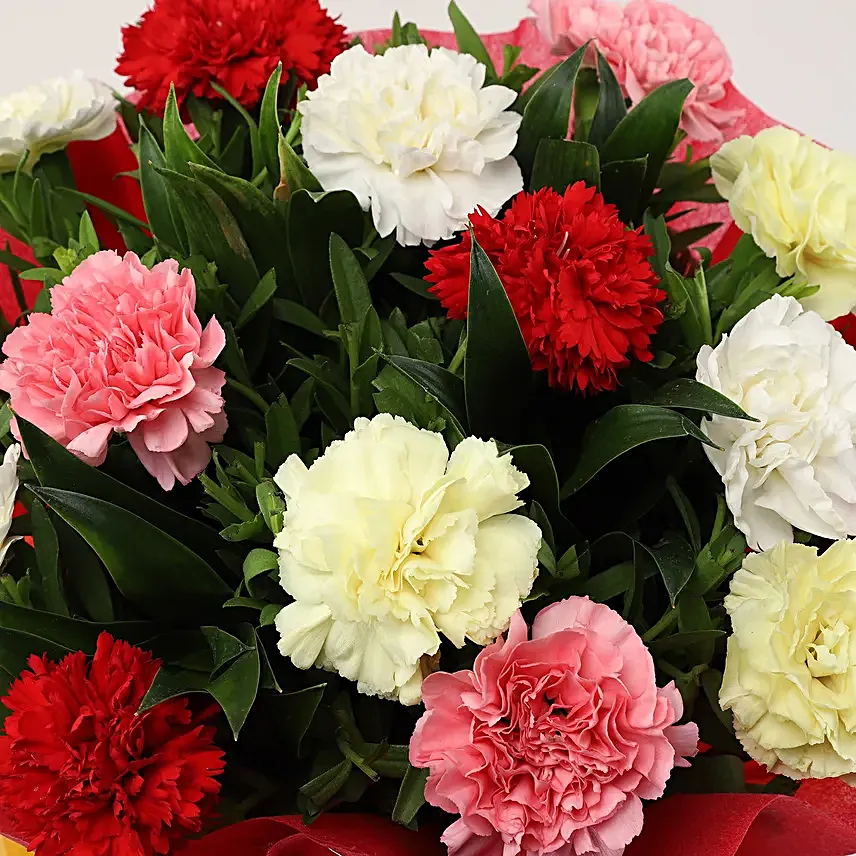 Cute Carnations Bunch