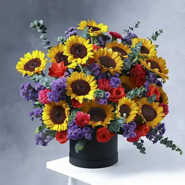 Sunbeam Elegance Box Sunbeam Elegance Box