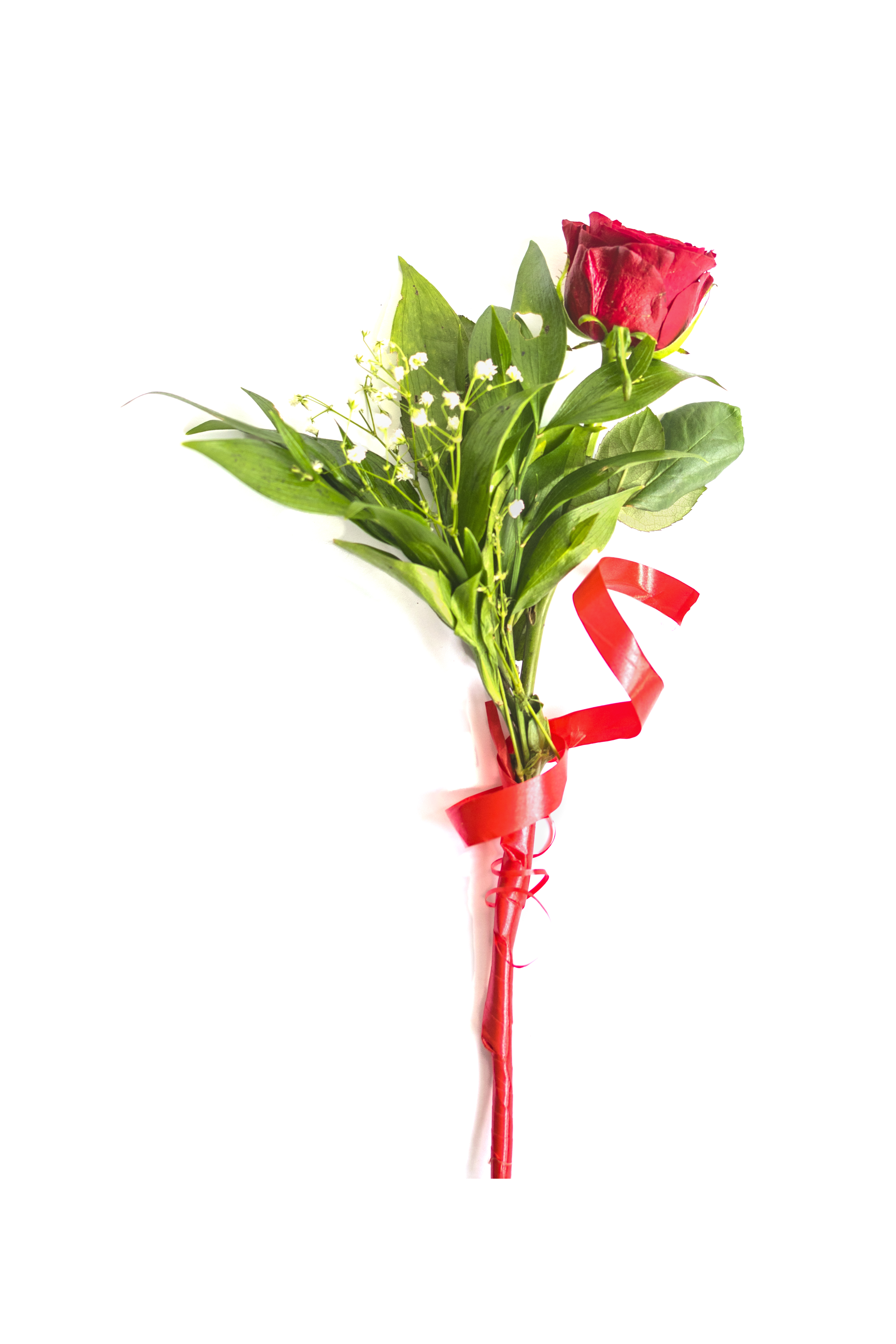 Single Red Rose Bouquet