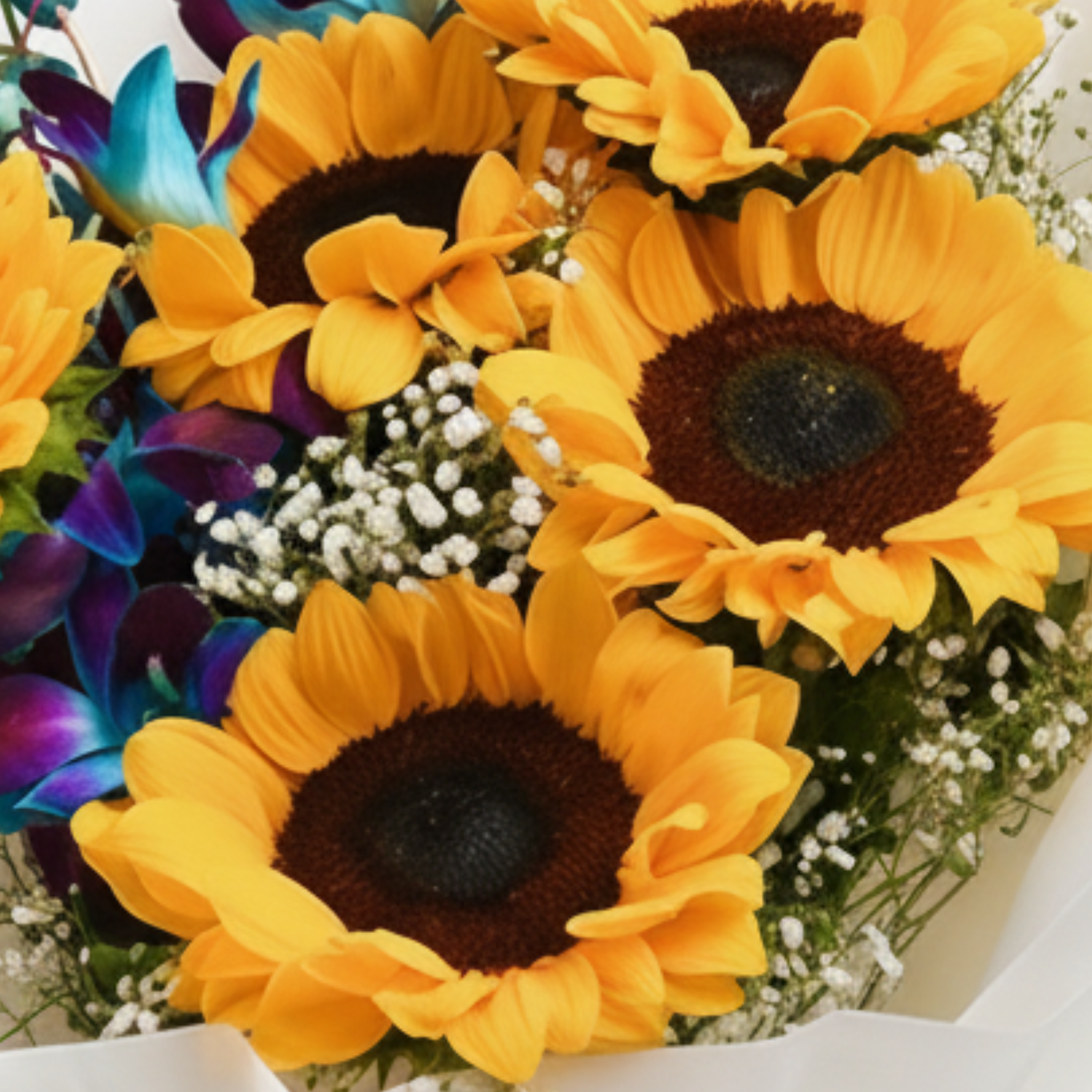 Sunflower Charm