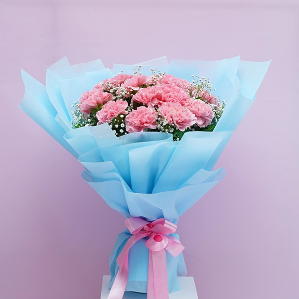 Charming Carnations