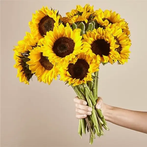 Sunny Garden Bouquet