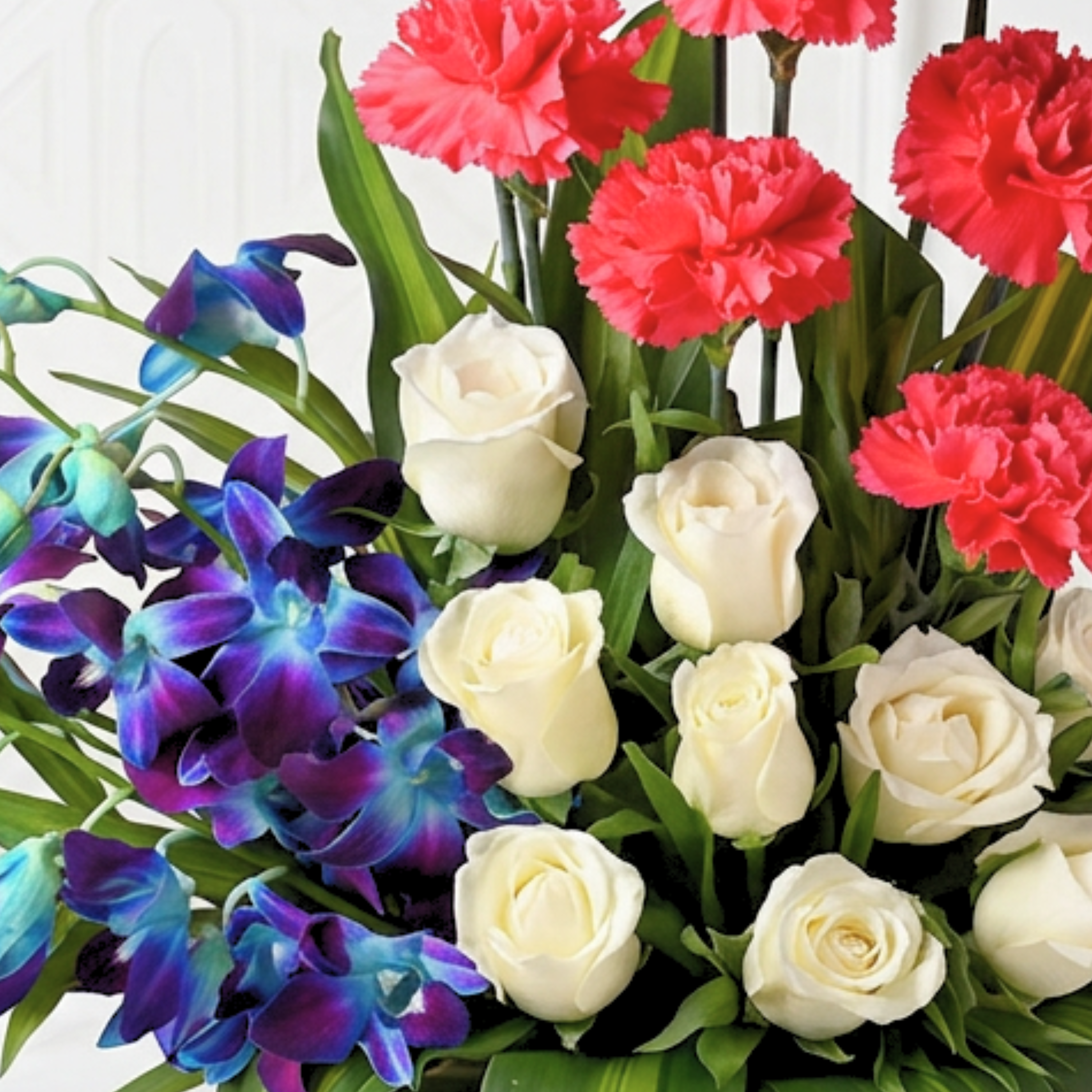 Joyful Wishes Joyful Wishes