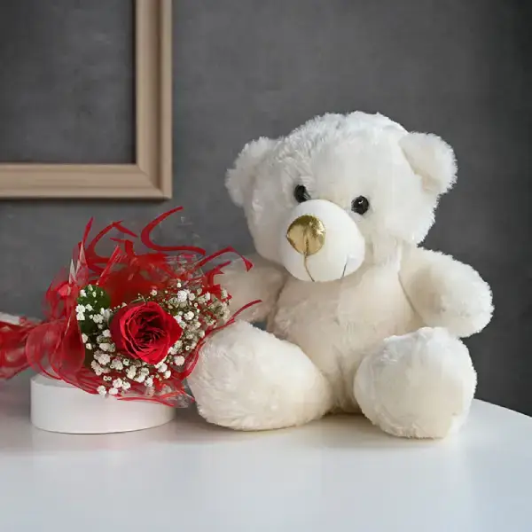 Dreamy Rose With Teddy