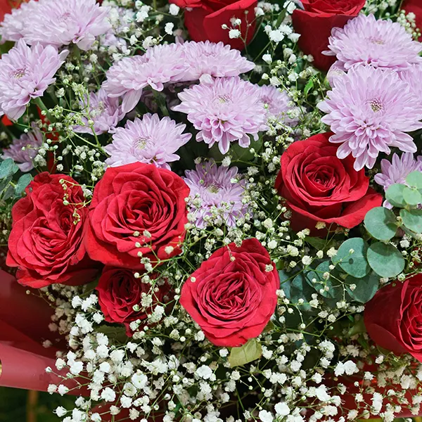 Red Roses with Purple Chrysanthemums Elegance