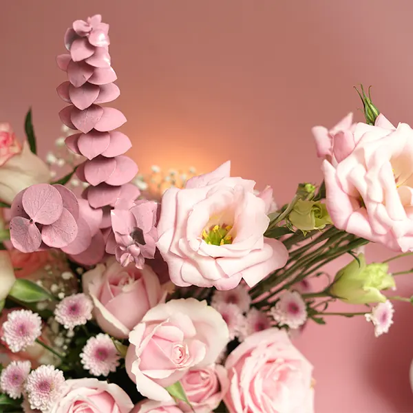 Pink Perfection in a Box
