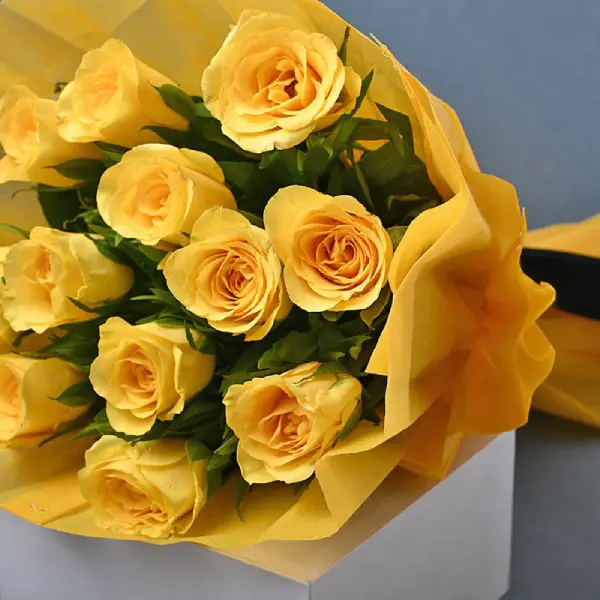 Yellow Radiance & Snuggle Friend Yellow Radiance & Snuggle Friend