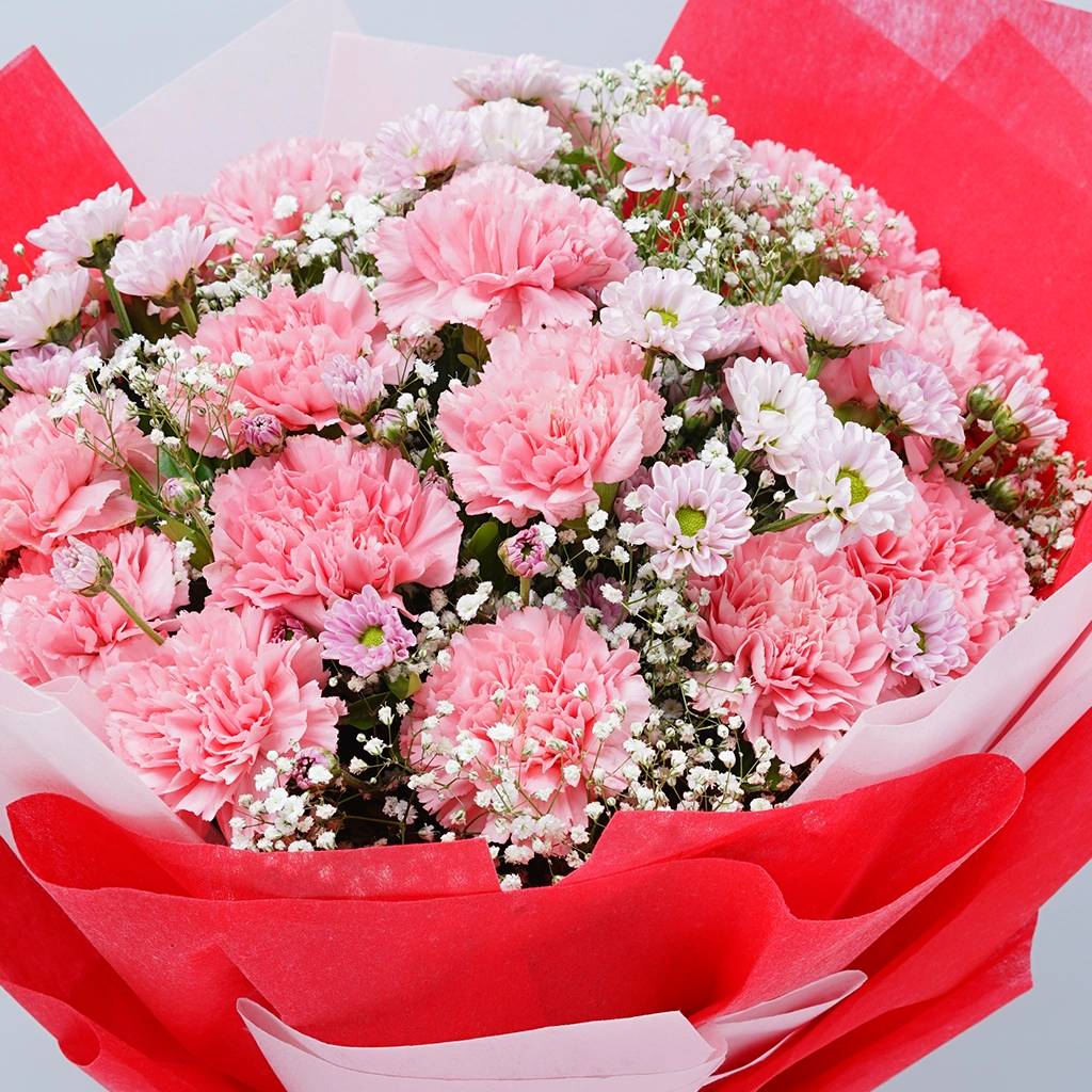 Lovely Pink Carnations