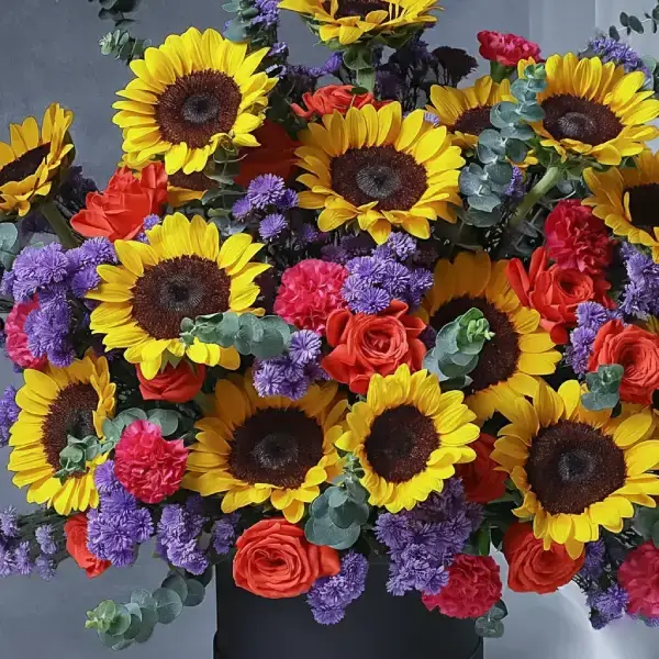 Sunbeam Elegance Box Sunbeam Elegance Box