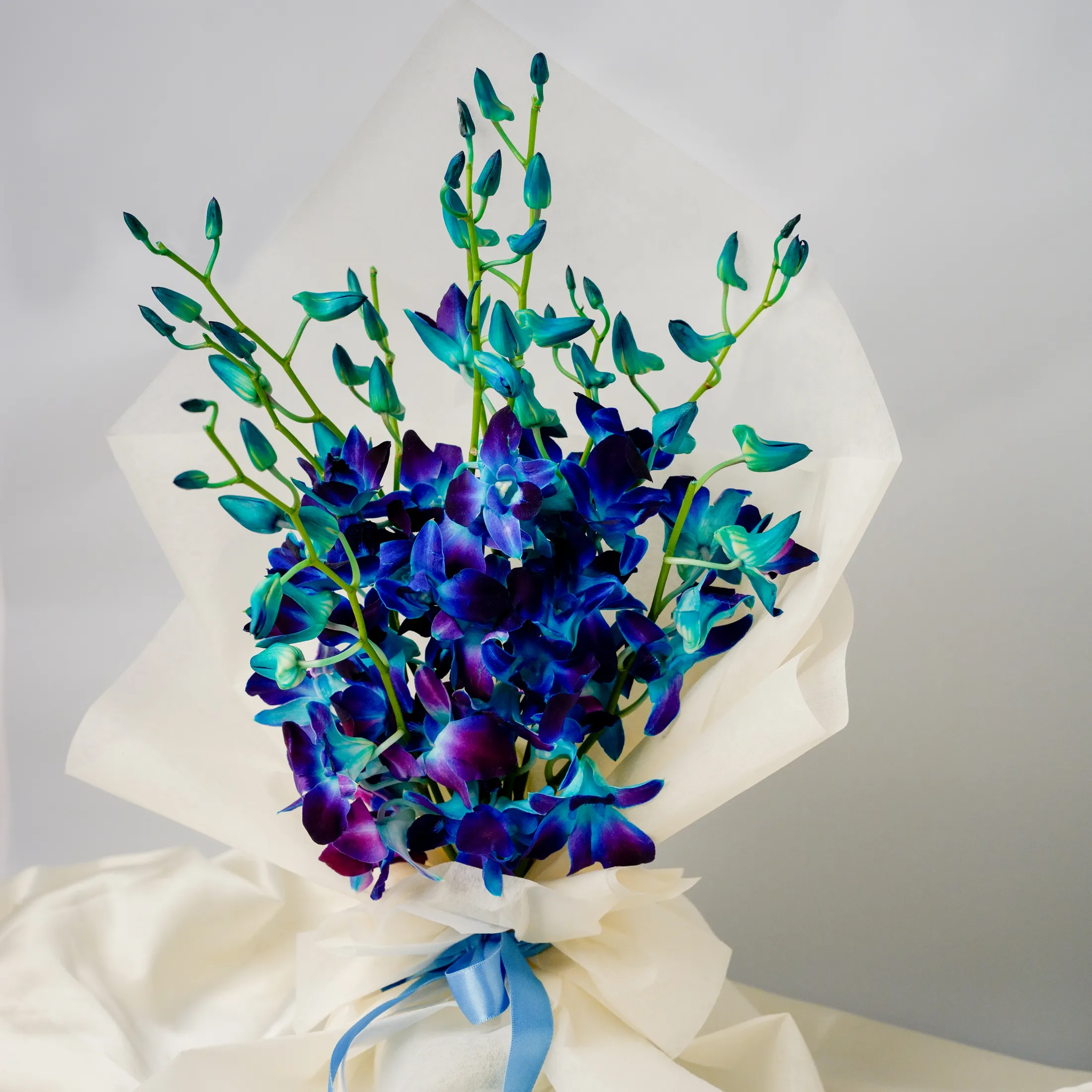 Blue Orchid Pistachio Duo Blue Orchid Pistachio Duo