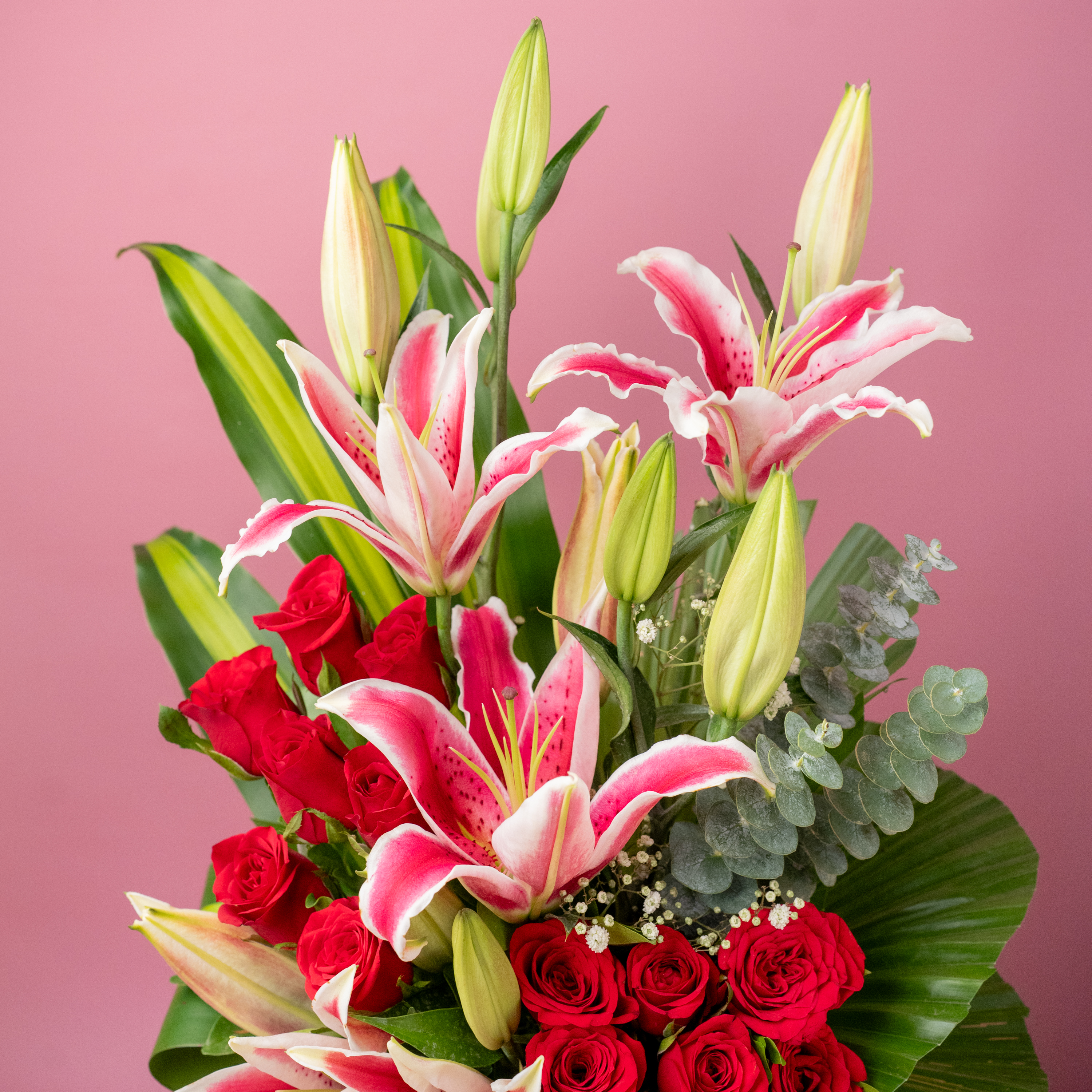 Red Revival