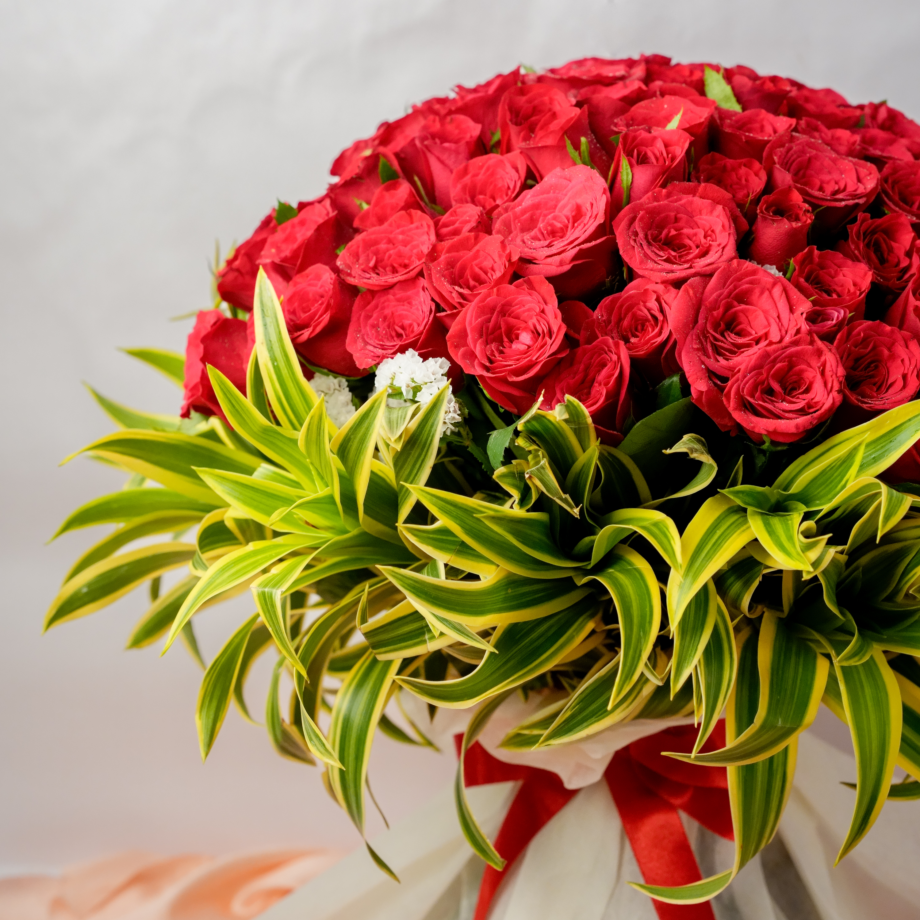 Roses Supreme Roses Supreme