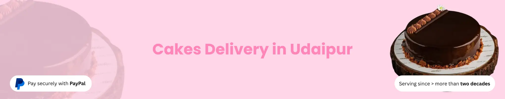 Cake Delivery in Udaipur