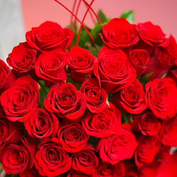 Heart-Shaped Red Roses & Teddy