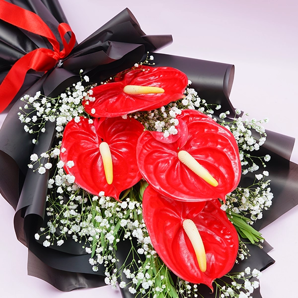 Enthralling Red