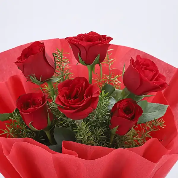 Rose Celebrations Pack