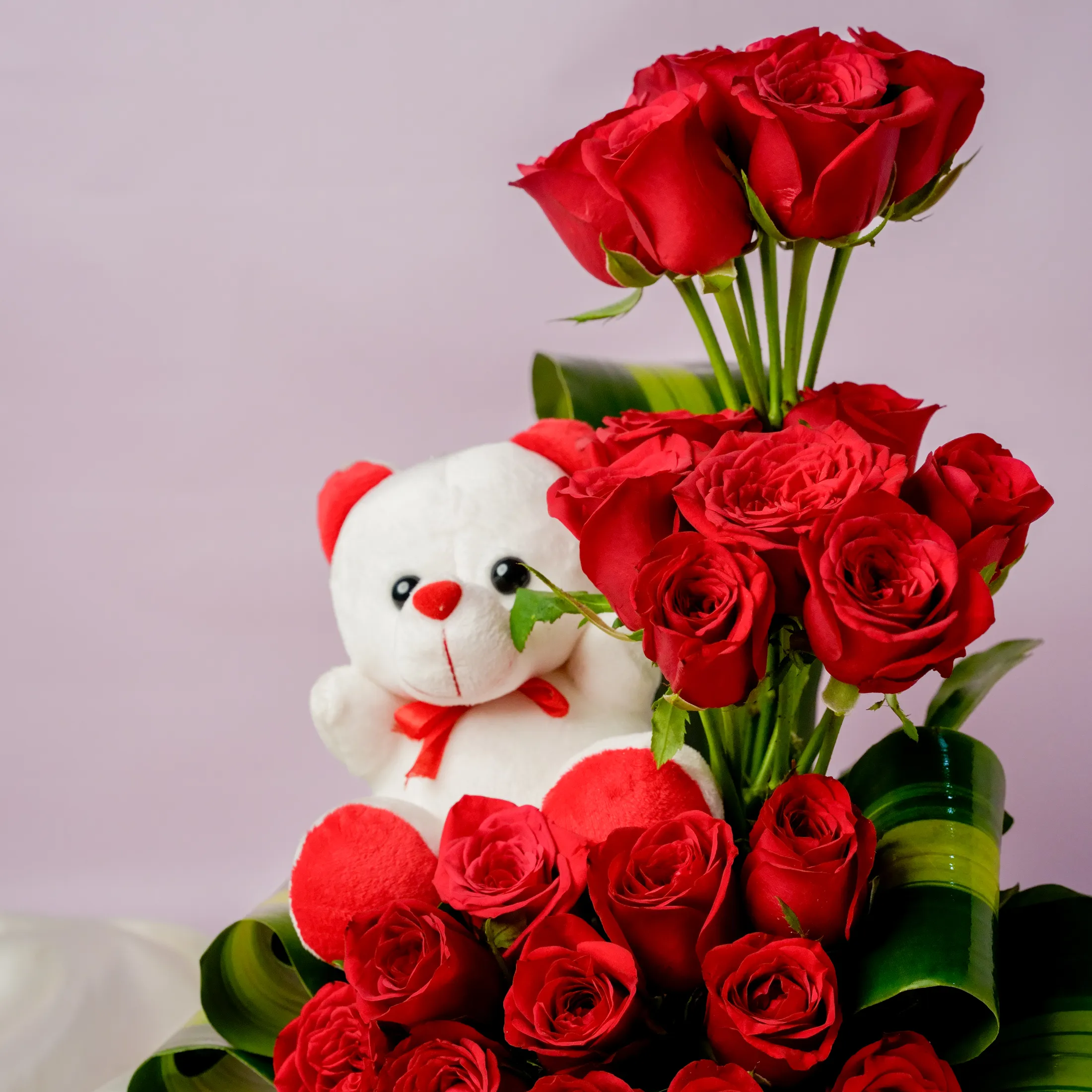 Red Roses & Teddy Delight Red Roses & Teddy Delight