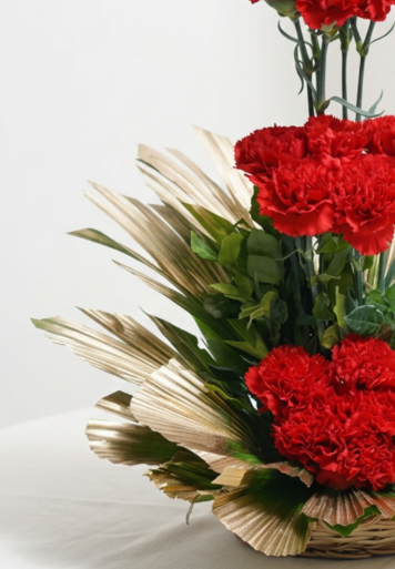 Bubbly Carnations