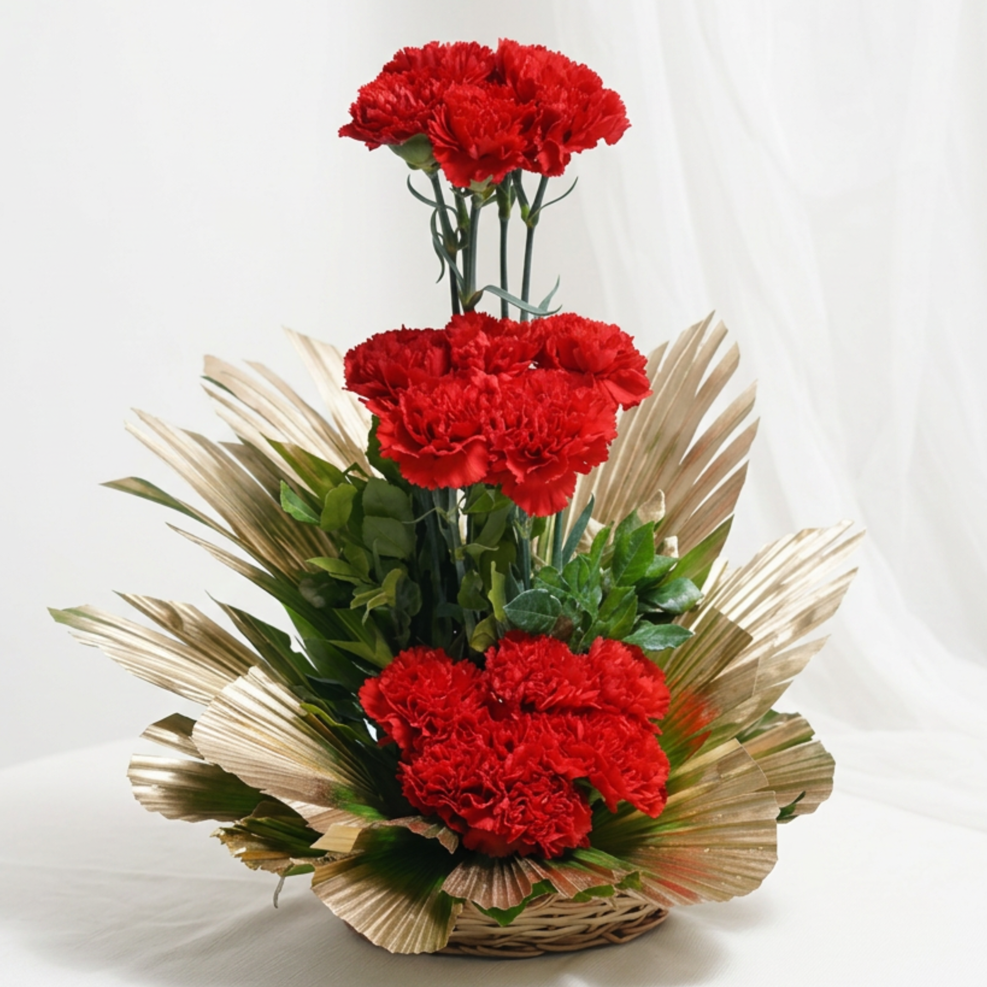 Bubbly Carnations