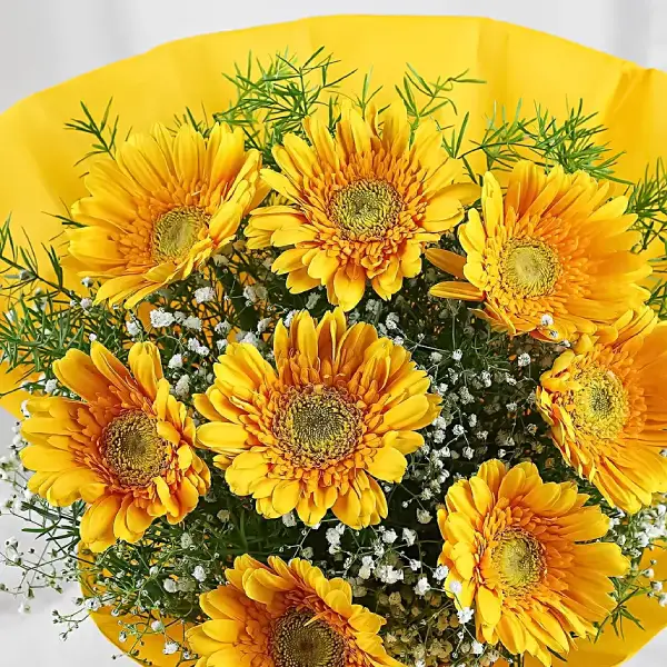 Charming Yellow