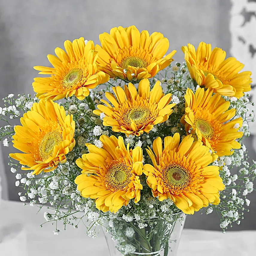 Bright Moments Bright Moments