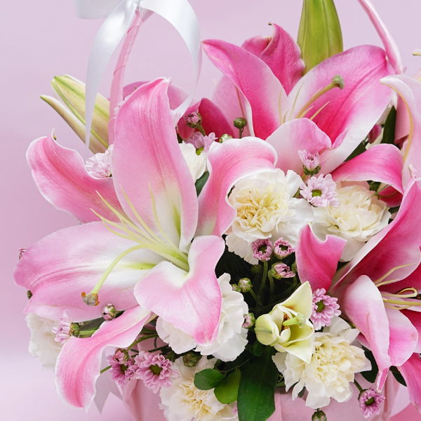 Mom's Love