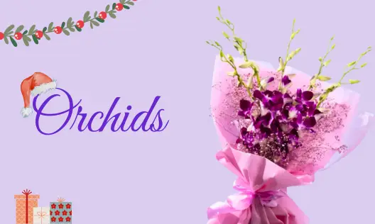 orchids flowers online