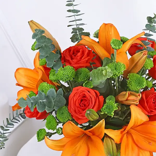 Gorgeous Orange