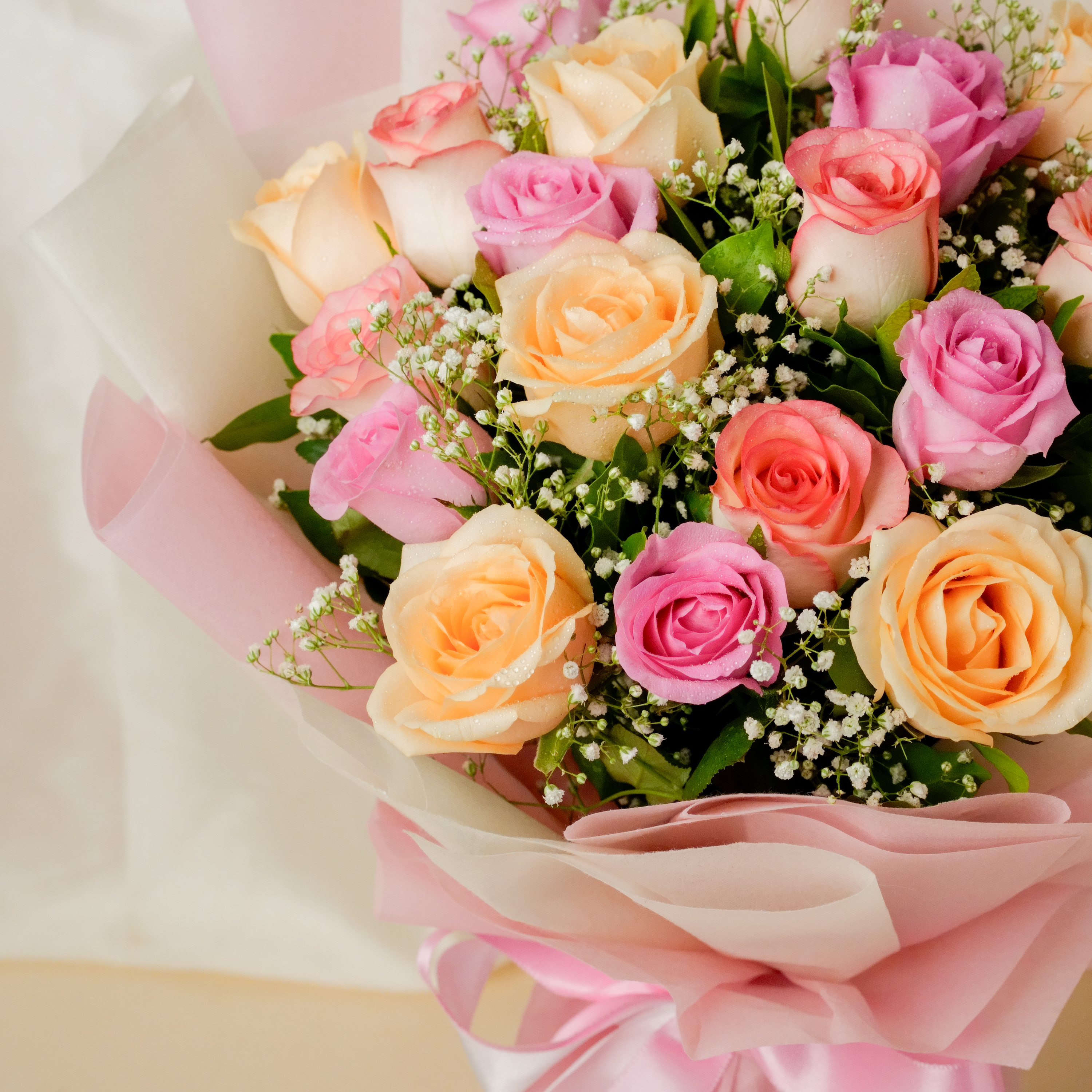 Pastel Rose Radiance